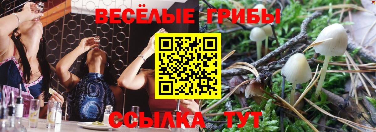 Галлюциногенные грибы MAGIC MUSHROOMS  Вход с VPN  как найти наркотики  Муром 