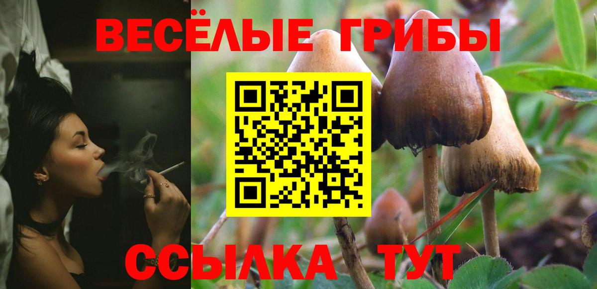 Муром  НБОМе  Вход с VPN  ГАШИШ  Кокаин  Экстази  Мефедрон  