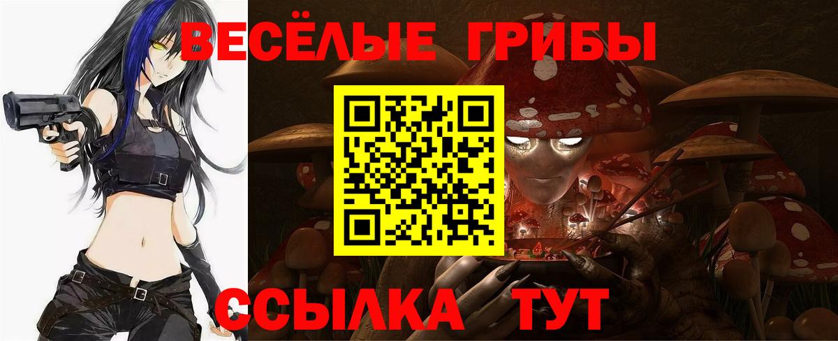 Псилоцибиновые грибы Psilocybe Муром